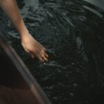 De kunst van Aquascaping: jouw eigen onderwaterwereld