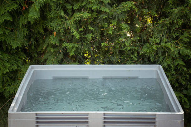 istockphoto-1679872468-612x612